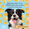 RSPCA Doggo Day | 20th of September